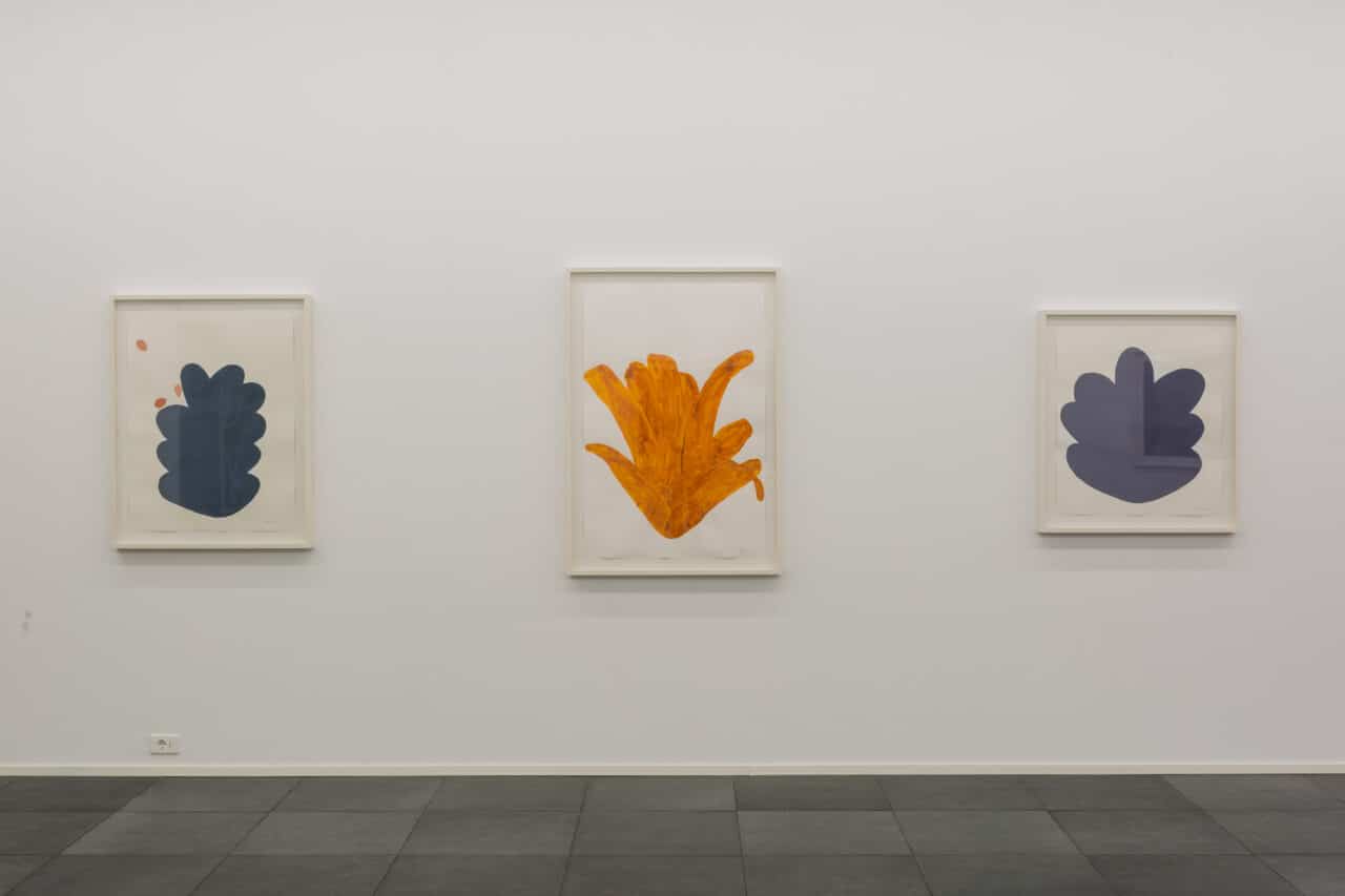 Santídio Pereira – Da mata ao morro