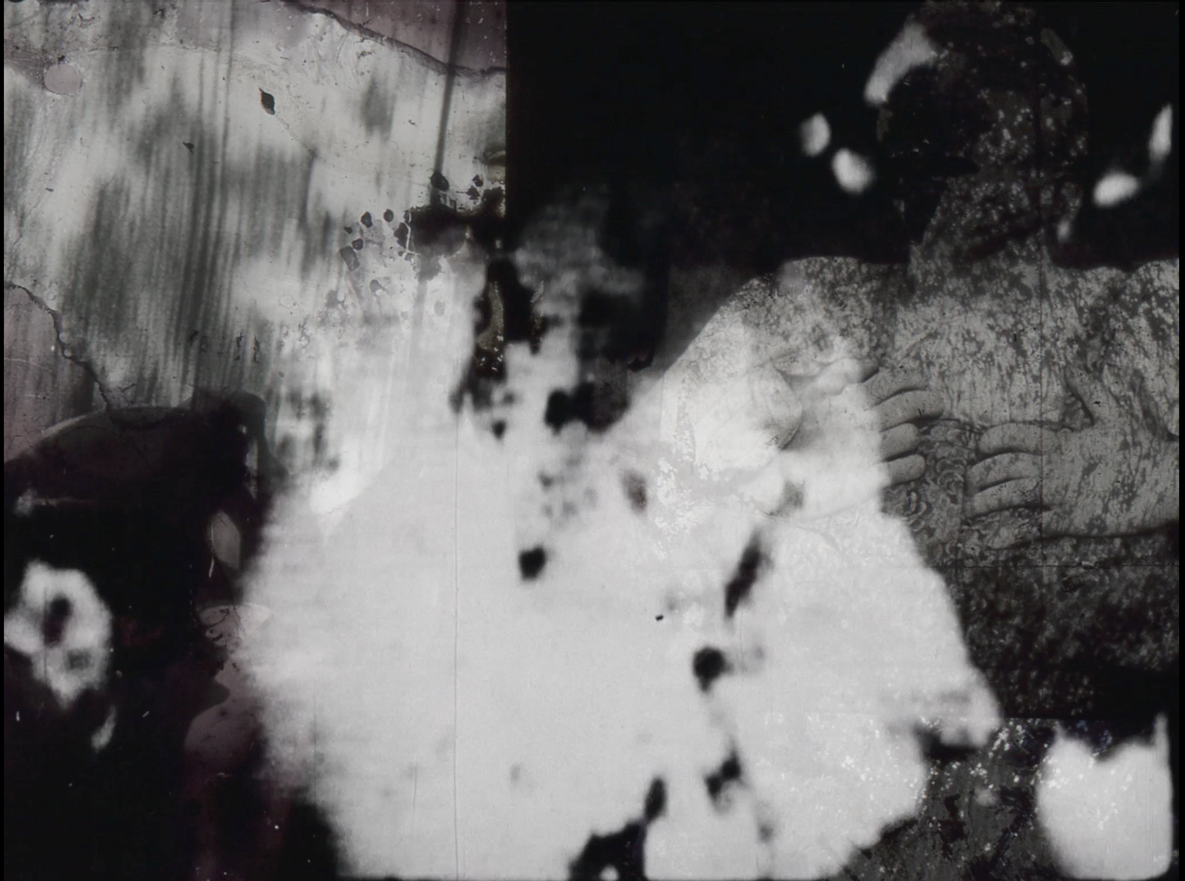 Raha Raissnia, Mneme II (2016)