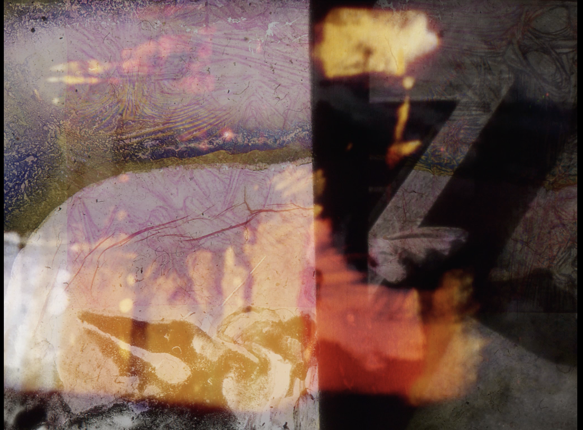 Raha Raissnia, Mneme II (2016)