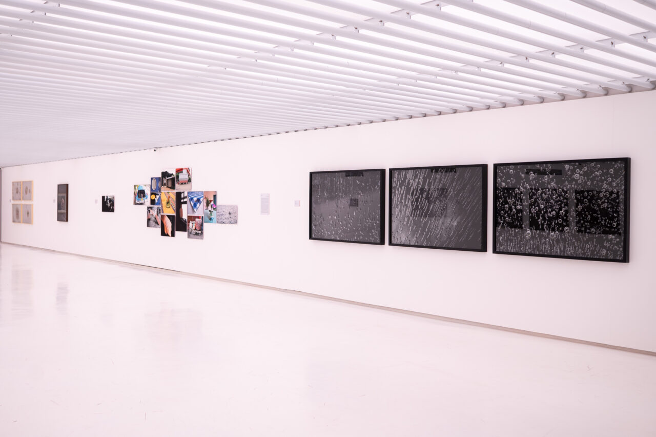 AT – MTC Um Grão de Domingo – Cao Guimaraes-2