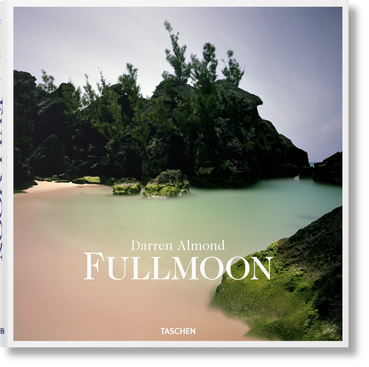 ALMOND_FULLMOON_2ND_ED_FO_INT_3D_02233